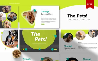 The Pets | PowerPoint template